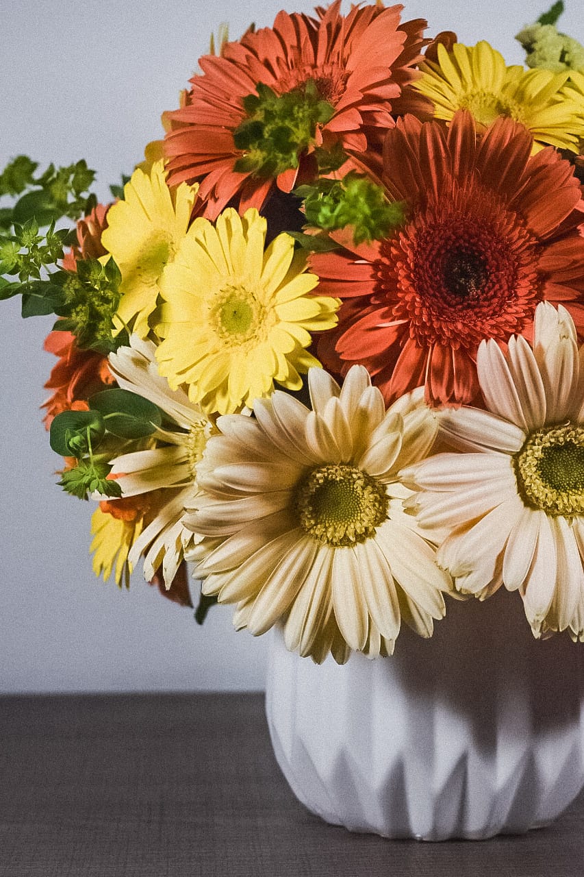 Gerberas-Cerámica